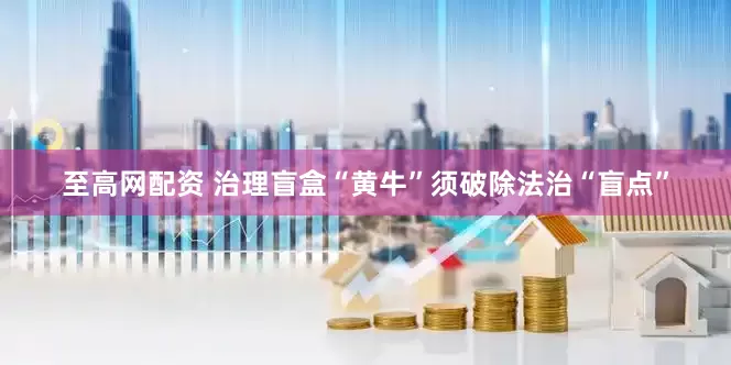 至高网配资 治理盲盒“黄牛”须破除法治“盲点”