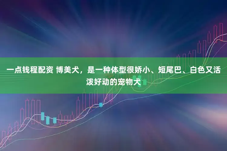 一点钱程配资 博美犬，是一种体型很娇小、短尾巴、白色又活泼好动的宠物犬
