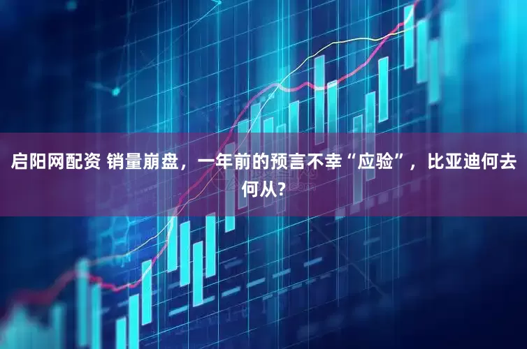 启阳网配资 销量崩盘，一年前的预言不幸“应验”，比亚迪何去何从?