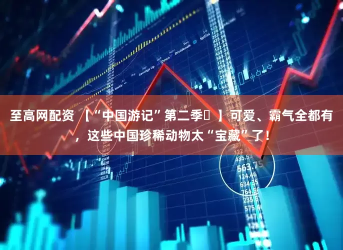 至高网配资 【“中国游记”第二季㉗】可爱、霸气全都有，这些中国珍稀动物太“宝藏”了！